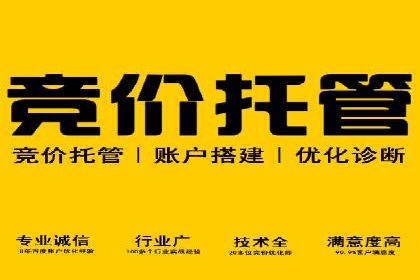 掌握开户高返点技巧：成功案例解读